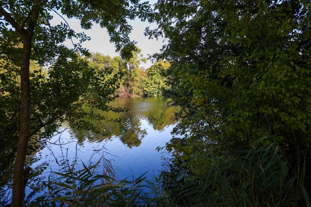 Le Saint Martin #Centre Ville #Charente #6Pers Cognac Zewnętrze zdjęcie